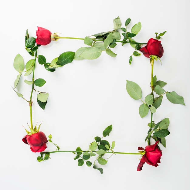 Free Photo overhead view of frame with roses on white backdrop