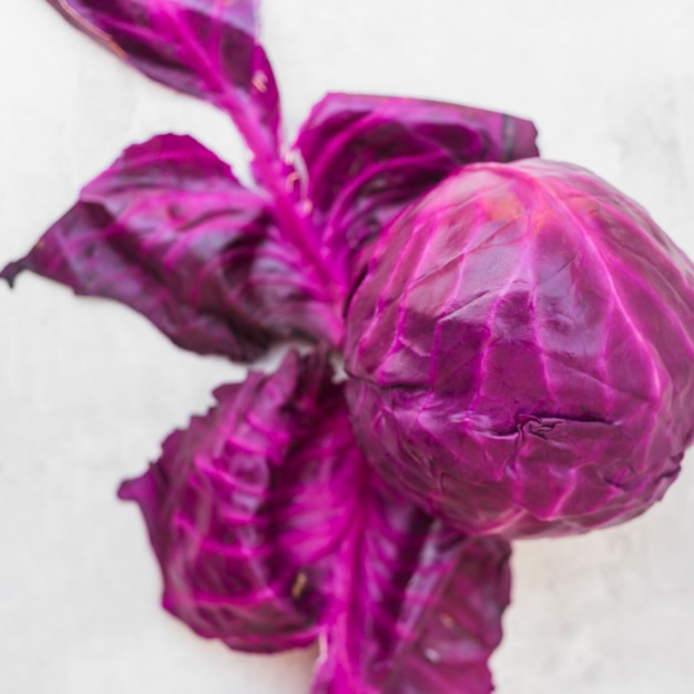 Free Photo an overhead view of fresh organic red cabbage