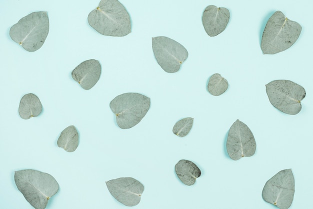 Free Photo an overhead view of green leaves on blue background