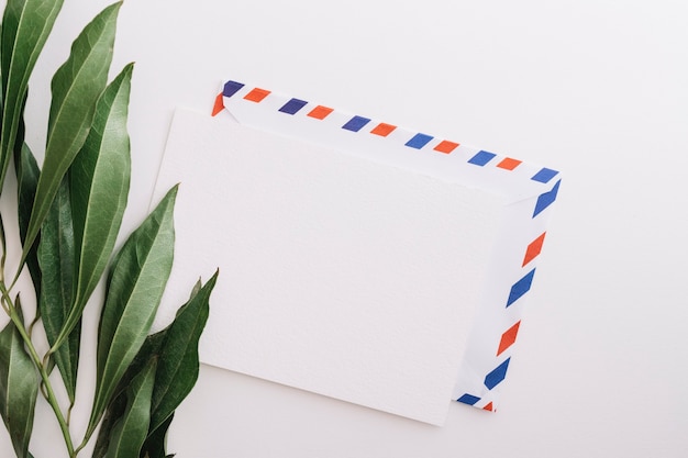 Free photo an overhead view of green leaves with three envelopes on white background