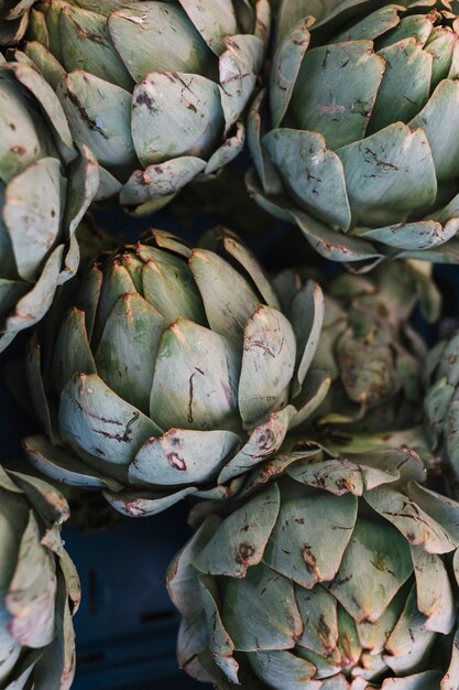 An overhead view of janitor holding artichoke