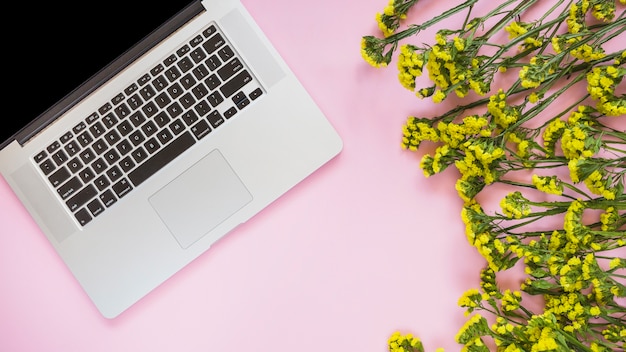 An overhead view of laptop and yellow flowers against pink background