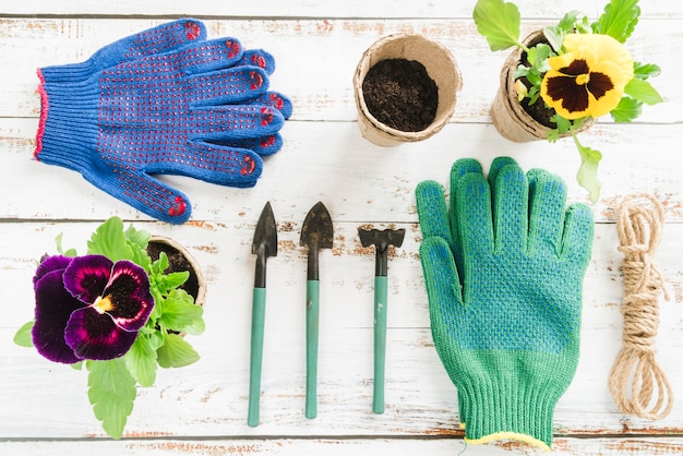 An overhead view of pansy flower peat pot with mini gardening equipment on wooden desk