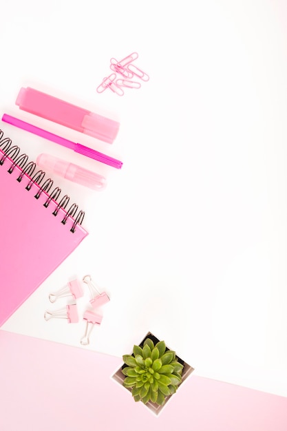 Overhead view of pink stationeries and potted plant on white cardboard paper