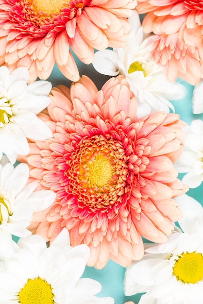 An overhead view of pink and white flowers