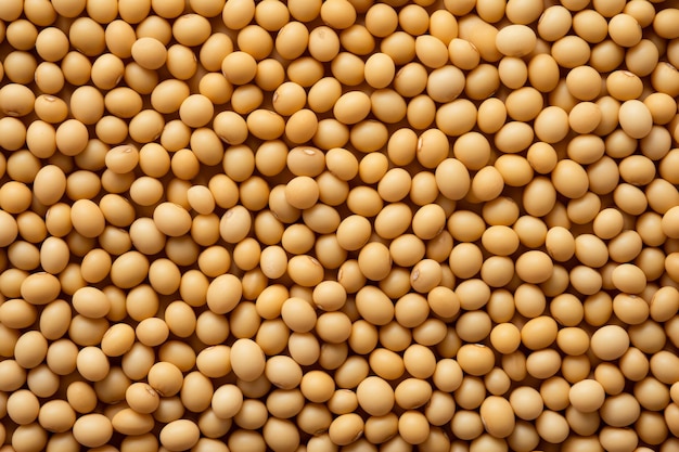 Free photo overhead view of soya beans