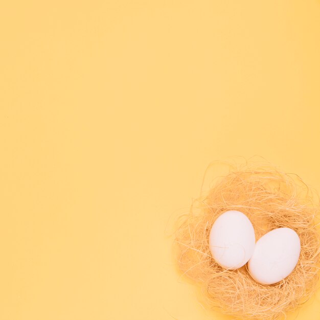 An overhead view of two white eggs in the nest on the corner of the yellow background