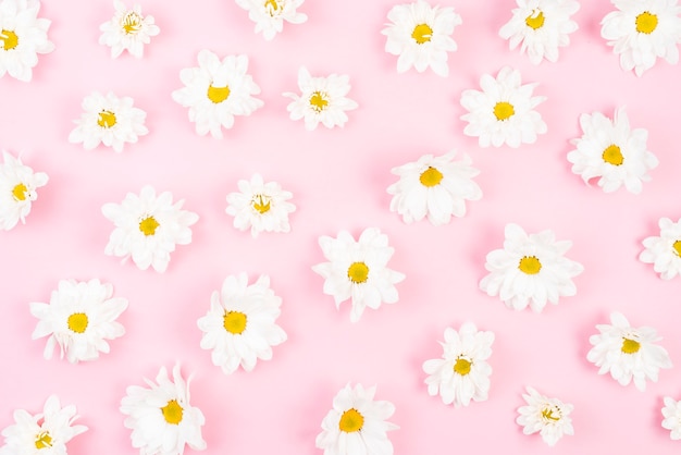 An overhead view of white flower pattern on pink background