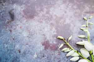 Free photo an overhead view of white flower twig on rustic background