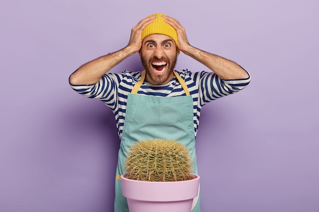 Free photo overwhelmed frustrated male florist keeps hands on head and stares with annoyed expression, screams emotionally, needs to transplant cactus in other pot, has panicking expression, wears workwear