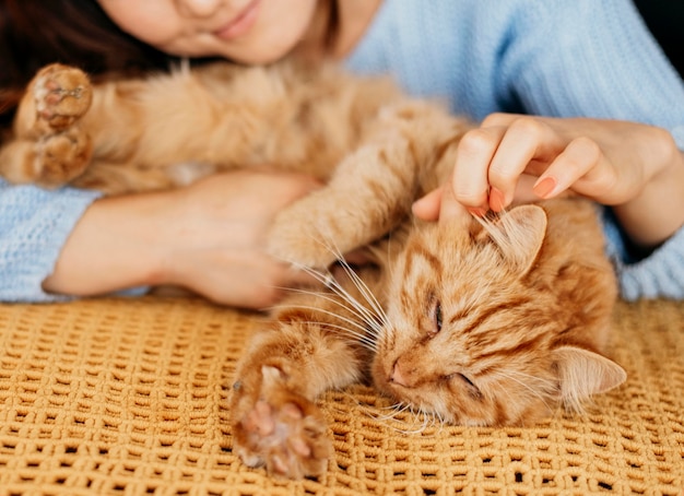 Free photo owner petting adorable cat