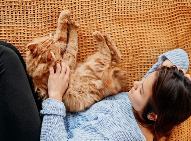 Free photo owner petting adorable cat