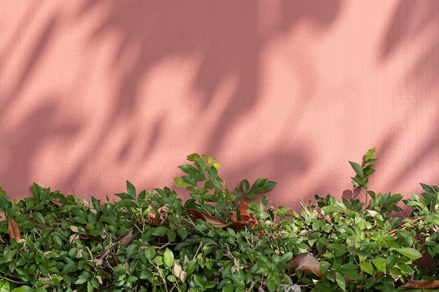 Free Photo painted brick wall with green bush in natural light background