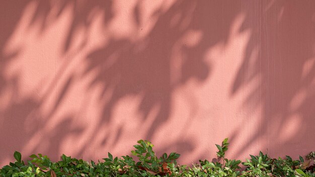 Painted brick wall with green bush in natural light background