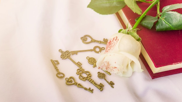 Free photo painted white rose on book with small keys