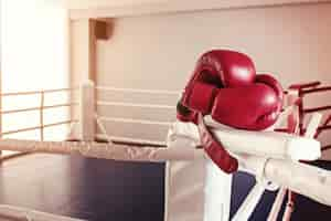 Free photo a pair of red boxing gloves hangs off ring