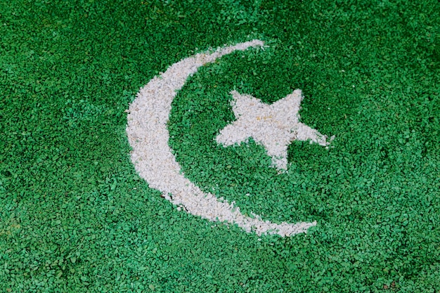 Free photo pakistan country flag made of white and green crush