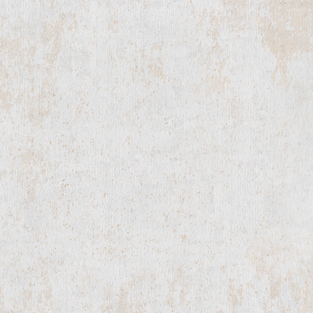 Pale gray rough plaster