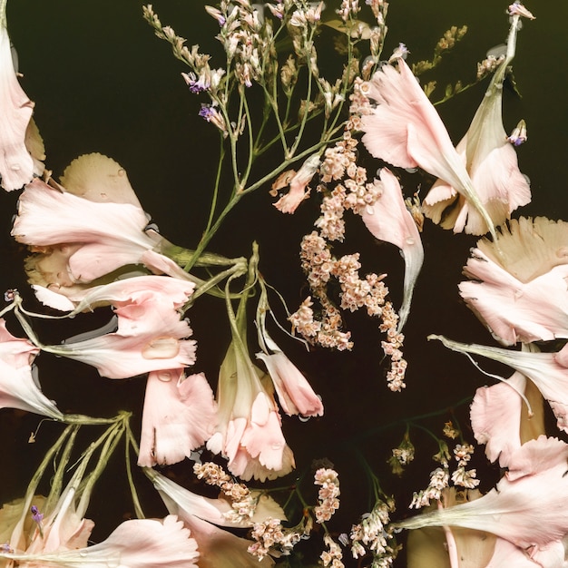 Free Photo pale pink flowers in black water