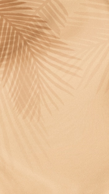 Palm leaves shadow on a beige background