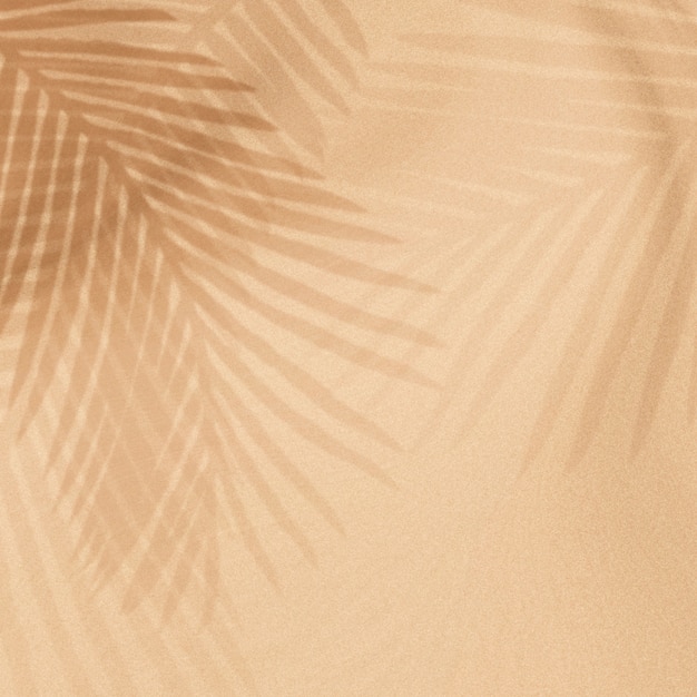 Palm leaves shadow on a beige