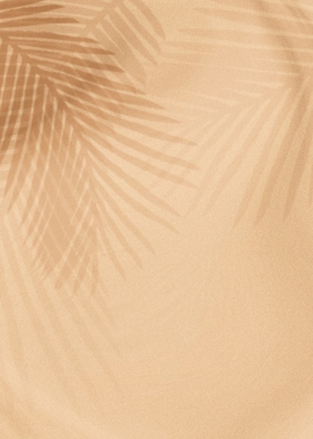 Palm leaves shadow on a beige