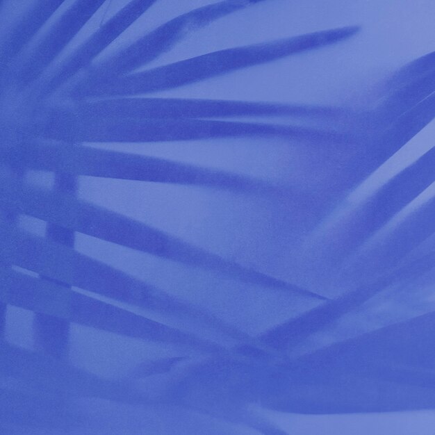 Palm leaves shadow on blue background