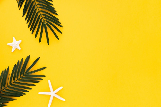 Palm leaves with starfish on yellow background