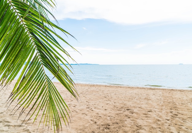 Free photo palm and tropical beach at pattaya in thailand