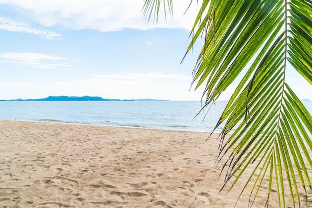 Free Photo palm and tropical beach at pattaya in thailand