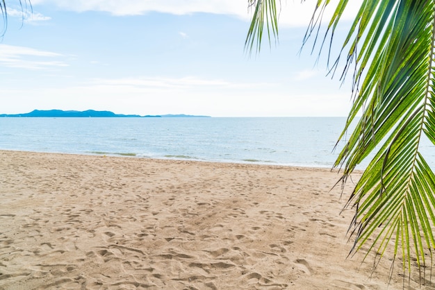 Free photo palm and tropical beach at pattaya in thailand