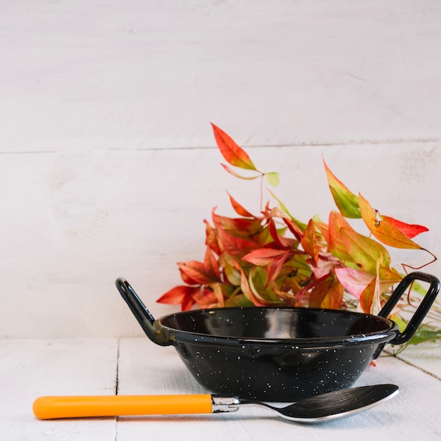 Free photo pan and autumn leaves