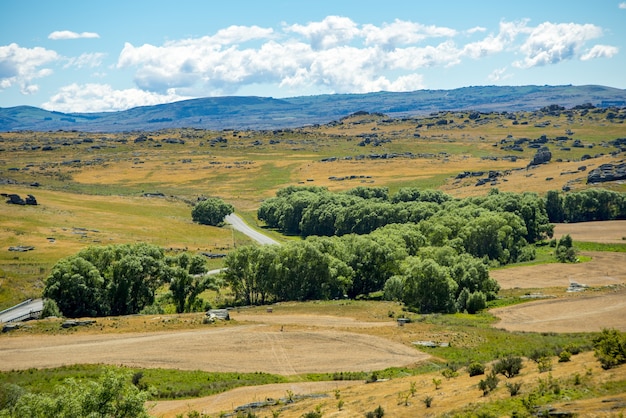 Free photo panoramic landscape of the rolling hills and pasture lands of central otago , new zealand