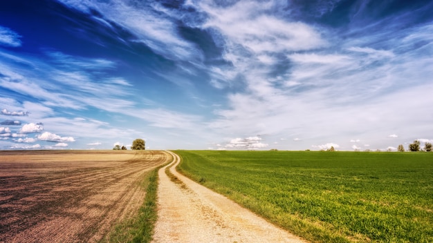 Free photo panoramic photo of brown road beside green grass fields