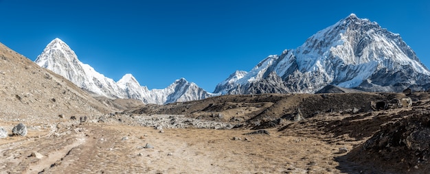 Panoramic shot of a beautiful valley surrounded by mountains covered in snow.