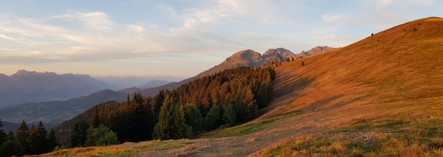 Free photo panoramic shot of orange fields and forests during the sunset