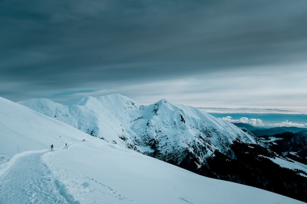 Panoramic shot of snow covered mountain peaks with alpine trees  under cloudy skies