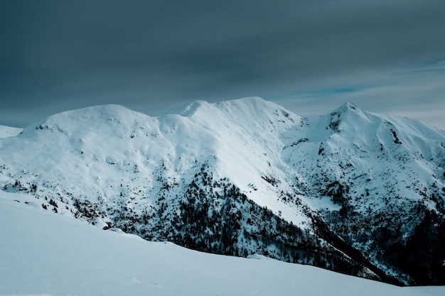 Free photo panoramic shot of snow covered mountain peaks with alpine trees