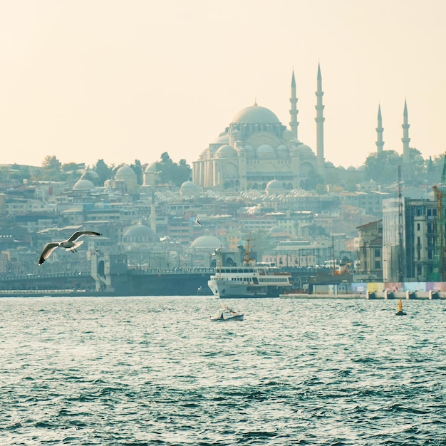 Panoramic view of the beautiful city of Istanbul sea and flying seagull Turkey