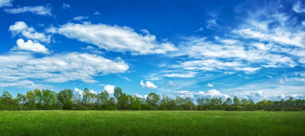 Free Photo panoramic view of a field covered in grass and trees under sunlight and a cloudy sky