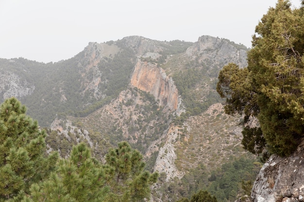 Panoramic view of mountains