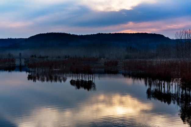 Free photo panoramic view of river in natural park