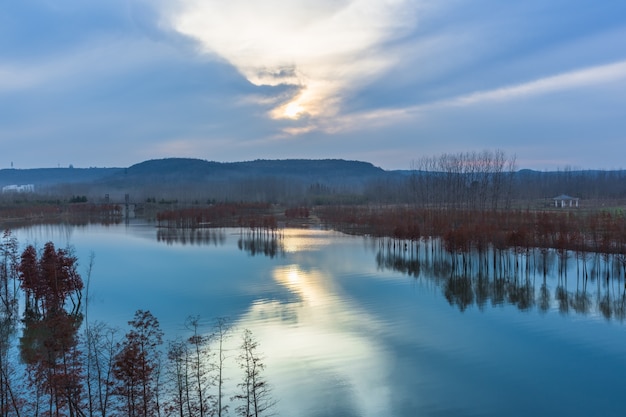 Free photo panoramic view of river