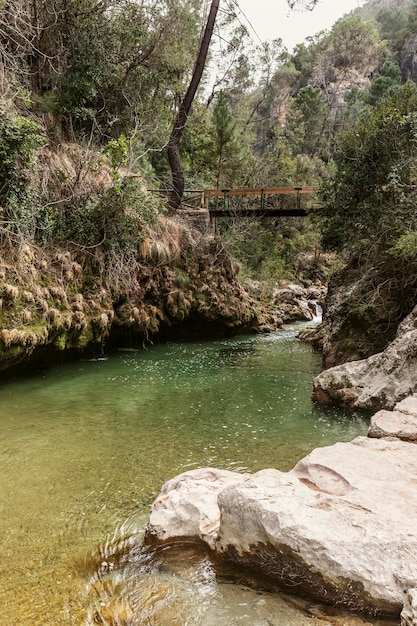 Panormic view of nature