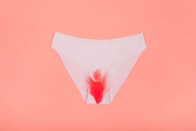 Free photo panties with red fur