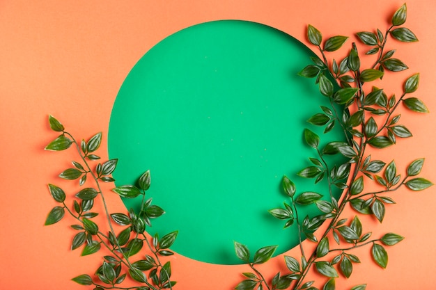 Paper circle design with leaves beside