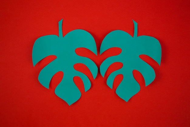 Free photo paper cut style of monstera leaves