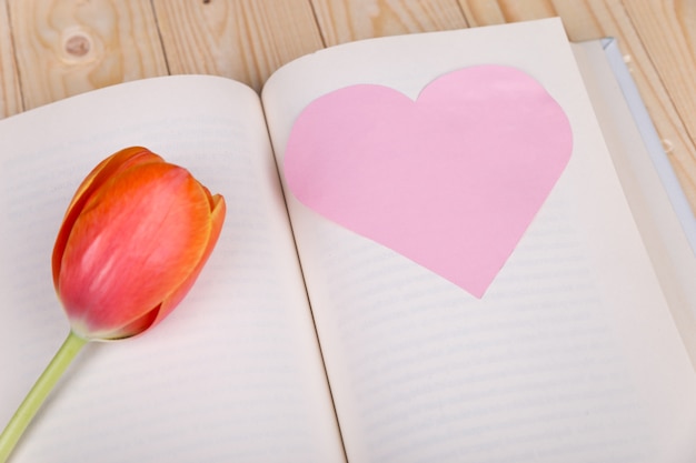 Free Photo paper heart and rose in book