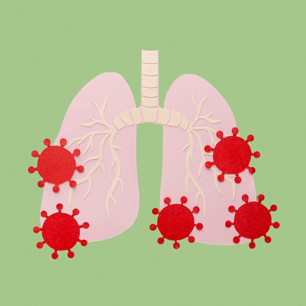 Paper made lungs isolated on orange with viruses