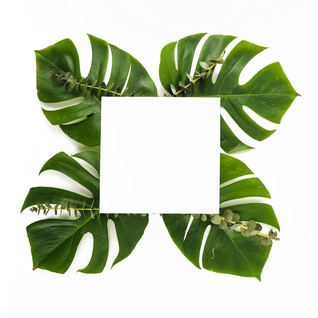 Free photo paper sheet on green leaves